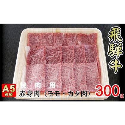 牛肉 飛騨牛 焼き肉 セット 赤身 モモ 又は カタ 300g 黒毛和牛 A5 美味しい お肉 牛 肉 和牛 焼肉 BBQ バーベキュー 【岐阜県揖斐川町】　【お肉・牛肉・モモ・お肉・牛肉・焼肉・バーベキュー】