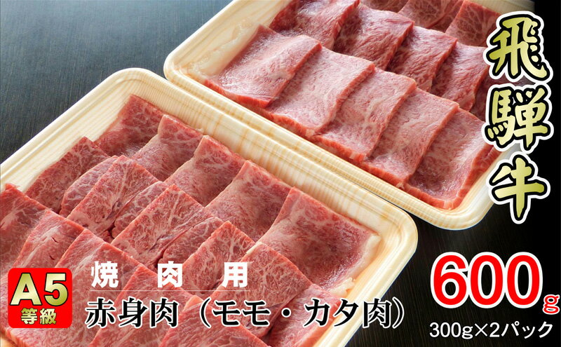 【ふるさと納税】牛肉 飛騨牛 焼き肉 セット 赤身 モモ 又は カタ 600g 黒毛和牛 A5 美味しい お肉 牛 肉 和牛 焼肉 BBQ バーベキュー 【岐阜県揖斐川町】　【お肉・牛肉・モモ・お肉・牛肉・焼肉・バーベキュー】