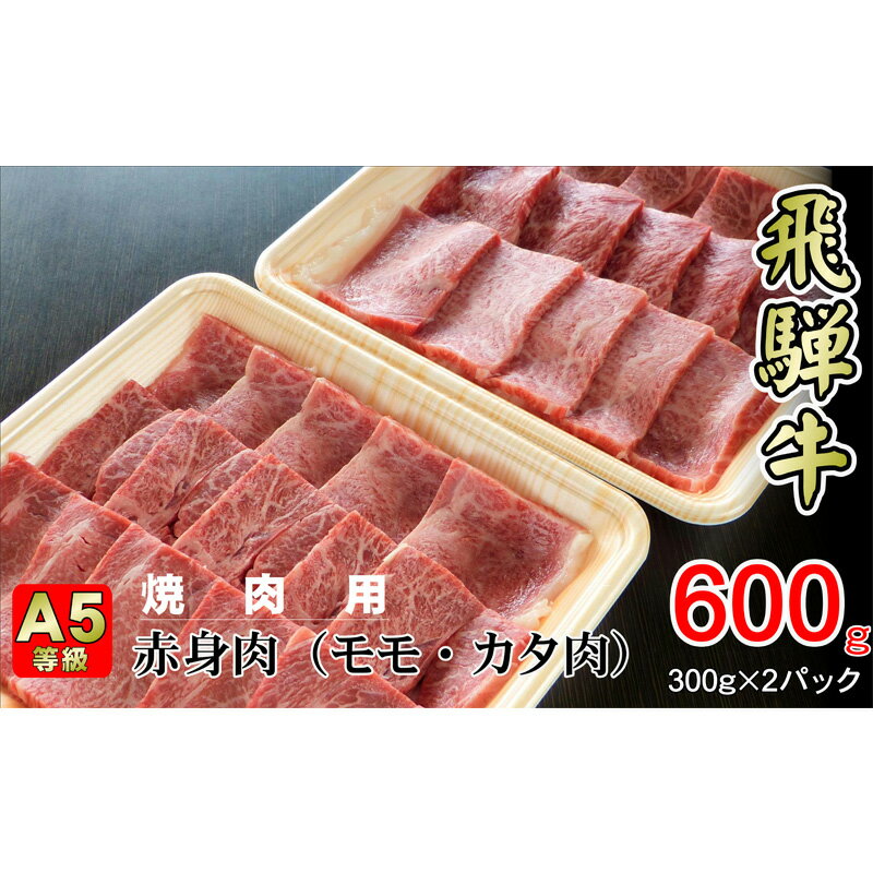 【ふるさと納税】牛肉 飛騨牛 焼き肉 セット 赤身 モモ 又は カタ 600g 黒毛和牛 A5 美味しい お肉 牛 肉 和牛 焼肉 BBQ バーベキュー 【岐阜県揖斐川町】　お肉・牛肉・モモ・お肉・牛肉・焼肉・バーベキュー