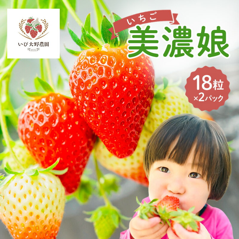 いちご 美濃娘 みのむすめ 18粒×2パック イチゴ 苺 フルーツ 旬 甘い ジューシー 生 美味しい ストロベリー 果物 ギフト 国産 産地直送 農家直送 送料無料 いび大野農園 岐阜県 揖斐川町 お届け:2026年2月上旬〜3月中旬