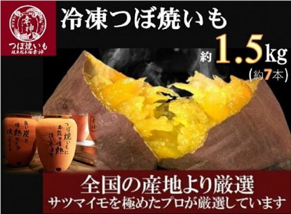 【全国の産地よりプロが厳選】つぼ焼いも専門店『幸神』の冷凍つぼ焼いも 1.5kg　【焼き芋　焼芋　やきいも　芋　さつまいも　スイーツ　お菓子　おやつ　デザート　ねっとり　甘い　真空パック　個包装　常滑焼】