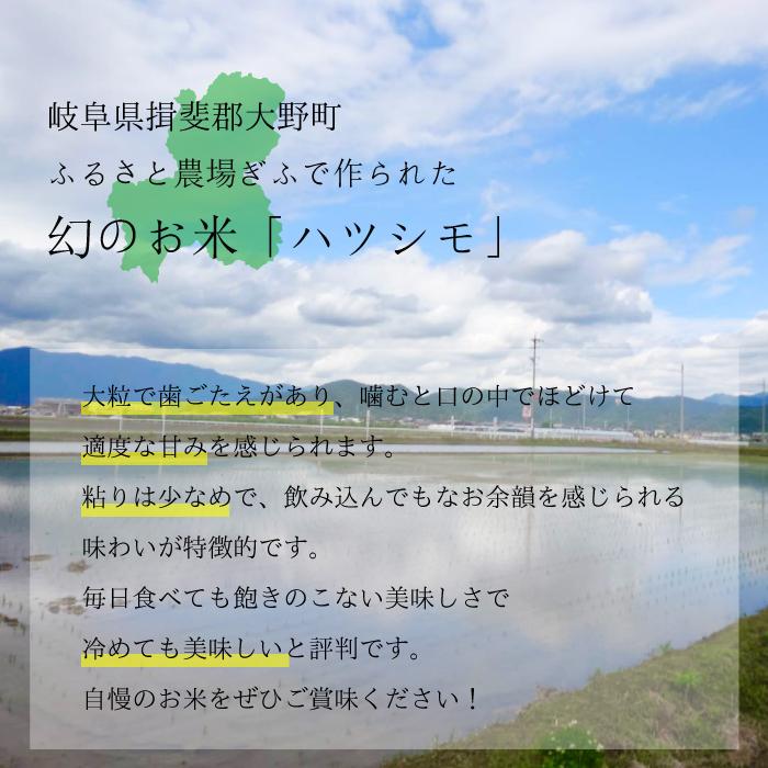 【ふるさと納税】【令和5年産 新米】無洗米 はつしも 10kg（5kg×2袋） 初霜 幻のお米 お米 精米 環境に優しい 大粒 おいしい 米 冷めてもおいしい ふっくら おにぎり 寿司 丼