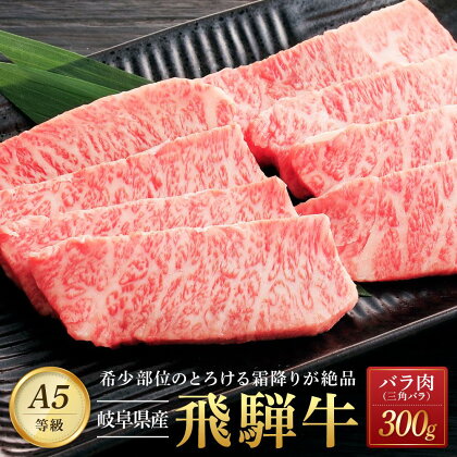 飛騨牛「希少部位」A5 三角バラ 焼肉用 300g｜国産 肉 牛肉 焼肉 和牛 黒毛和牛 グルメ おすすめ AD101 【飛騨牛 和牛ブランド 飛騨牛 黒毛和牛 飛騨牛 岐阜 大野町 飛騨牛】