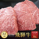 飛騨牛 【ふるさと納税】飛騨牛「希少部位」A5 ランプ ステーキ用 300g｜国産 肉 牛肉 焼肉 和牛 黒毛和牛 グルメ おすすめ ブランド AD104【飛騨牛 和牛ブランド 飛騨牛 黒毛和牛 飛騨牛 岐阜 大野町 飛騨牛】