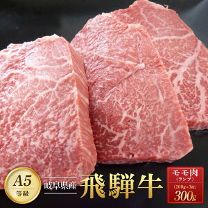 【ふるさと納税】飛騨牛「希少部位」A5 ランプ ステーキ用 300g｜国産 肉 牛肉 焼肉 和牛 黒毛和牛 グルメ おすすめ ブランド AD104【飛騨牛 和牛ブランド 飛騨牛 黒毛和牛 飛騨牛 岐阜 大野町 飛騨牛】