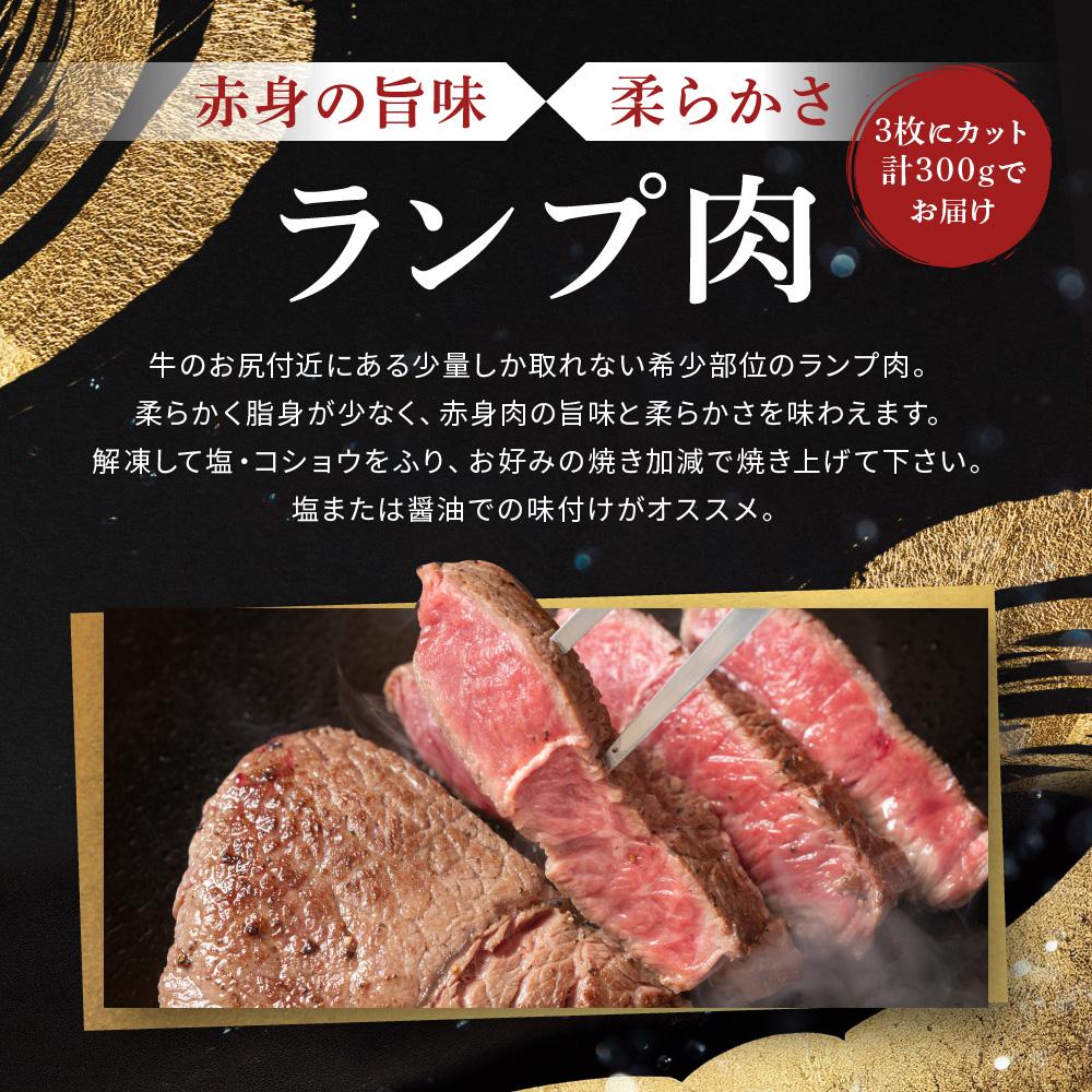 【ふるさと納税】飛騨牛「希少部位」A5 ランプ ステーキ用 300g｜国産 肉 牛肉 焼肉 和牛 黒毛和牛 グルメ おすすめ ブランド AD104【飛騨牛 和牛ブランド 飛騨牛 黒毛和牛 飛騨牛 岐阜 大野町 飛騨牛】