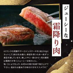 【ふるさと納税】飛騨牛A5 サーロインステーキ用 1kg（250g×4枚）｜国産 肉 牛肉 焼肉 ステーキ 和牛 黒毛和牛 グルメ A5等級 おすすめ AD109【飛騨牛 和牛ブランド 飛騨牛 黒毛和牛 飛騨牛 岐阜 大野町 飛騨牛】･･･ 画像1