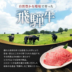 【ふるさと納税】飛騨牛A5 サーロインステーキ用 1kg（250g×4枚）｜国産 肉 牛肉 焼肉 ステーキ 和牛 黒毛和牛 グルメ A5等級 おすすめ AD109【飛騨牛 和牛ブランド 飛騨牛 黒毛和牛 飛騨牛 岐阜 大野町 飛騨牛】･･･ 画像2