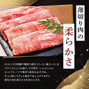 【ふるさと納税】飛騨牛A5 スライス 1kg（500g×2パック）ロース 又は 肩ロース 肉 ｜国産 肉 すき焼き しゃぶしゃぶ 和牛 黒毛和牛 グルメ A5等級 おすすめ AD113【飛騨牛 和牛ブランド 飛騨牛 黒毛和牛 飛騨牛 岐阜 大野町 飛騨牛】 2