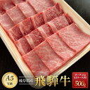 24位! 口コミ数「0件」評価「0」飛騨牛A5 焼肉用 500g ロース 又は 肩ロース 肉 ｜国産 肉 牛肉 焼肉 和牛 黒毛和牛 グルメ A5等級 おすすめ AD115【飛･･･ 