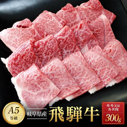 飛騨牛A5 赤身肉 焼肉用 300g モモ 又は カタ 肉 ｜国産 肉 牛肉 焼肉 和牛 黒毛和牛 赤身 グルメ A5等級 おすすめ AD122 【飛騨牛 和牛ブランド 飛騨牛 黒毛和牛 飛騨牛 岐阜 大野町 飛騨牛】