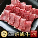 【ふるさと納税】飛騨牛A5 赤身肉 焼肉用 600g （300g×2パック） モモ 又は カタ 肉 ｜国産 肉 牛肉 焼肉 和牛 黒毛和牛 赤身 グルメ A..