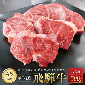 【ふるさと納税】飛騨牛 A5 スネ肉 カット 500g｜国産 肉 牛肉 和牛 黒毛和牛 A5等級 グルメ おすすめ AD106【飛騨牛 和牛ブランド 飛騨牛 黒毛和牛 飛騨牛 岐阜 大野町 飛騨牛】