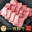 【ふるさと納税】飛騨牛A5 赤身肉 焼肉用 500g モモ 又は カタ 肉 ｜国産 肉 牛肉 焼肉 和牛 黒毛和牛 赤身 グルメ A5等級 おすすめ AD123 【飛騨牛 和牛ブランド 飛騨牛 黒毛和牛 飛騨牛 岐阜 大野町 飛騨牛】