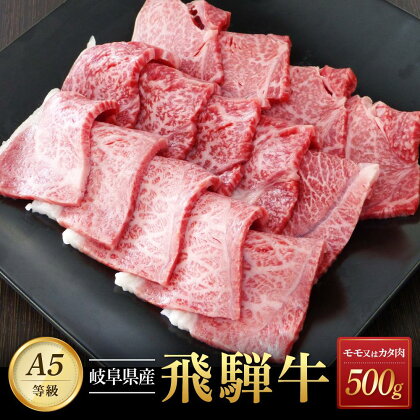 飛騨牛A5 赤身肉 焼肉用 500g モモ 又は カタ 肉 ｜国産 肉 牛肉 焼肉 和牛 黒毛和牛 赤身 グルメ A5等級 おすすめ AD123 【飛騨牛 和牛ブランド 飛騨牛 黒毛和牛 飛騨牛 岐阜 大野町 飛騨牛】