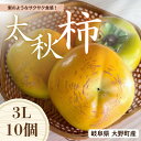 【ふるさと納税】【先行予約】梨のような食感! Farm m&aの太秋柿 3L×10個 秀品 岐阜県 大野町(2025年10月中旬~発送)農家直送 果物 フルーツ 秋の味覚 柿 かき 太秋 たいしゅう | 柿 かき カキ 富有柿 岐阜の柿 甘柿 果物 大野町 特産品