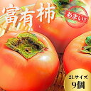 【ふるさと納税】【先行予約】Farm m&aの富有柿 2L×9個 秀品 岐阜県 大野町(2025年11月下旬~発送)農家直送 果物 フルーツ 秋の味覚 柿 かき 富有 ふゆう | 柿 かき カキ 富有柿 岐阜の柿 甘柿 果物 大野町 特産品 人気 おすすめ 送料無料