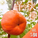 【ふるさと納税】【先行予約】 真っ赤で大きくて甘い! Farm m&aの早秋柿 4L×5個 秀品 岐阜県 大野町(2025年10月中旬~発送)農家直送 果物 フルーツ 秋の味覚 柿 かき 早秋 そうしゅう | フルーツ 果物 くだもの 食品 人気 おすすめ 送料無料