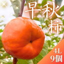 【ふるさと納税】【先行予約】 真っ赤で大きくて甘い! Farm m&aの早秋柿 4L×9個 秀品 岐阜県 大野町(2025年10月中旬~発送)農家直送 果物 フルーツ 秋の味覚 柿 かき 早秋 そうしゅう