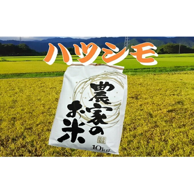 【ふるさと納税】池田町農家　令和3年産特別栽培米ハツシモ　10kg　白米　【お米】　お届け：2021年10月中旬〜2022年7月末