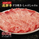 飛騨牛 【ふるさと納税】牛肉 飛騨牛 すき焼き しゃぶしゃぶ セット ロース 又は 肩ロース 600g 黒毛和牛 A5 美味しい お肉 牛 肉 和牛 すき焼き肉 すきやき すき焼肉しゃぶしゃぶ肉 【岐阜県池田町】　【 きめ細かい肉質 柔らかい とろける 】