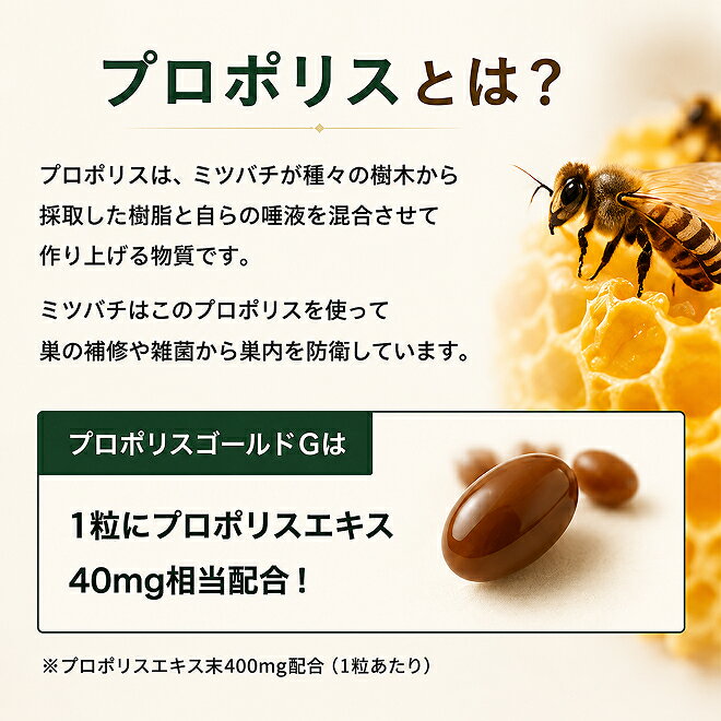 【ふるさと納税】プロポリスゴールド6本セット 加工食品