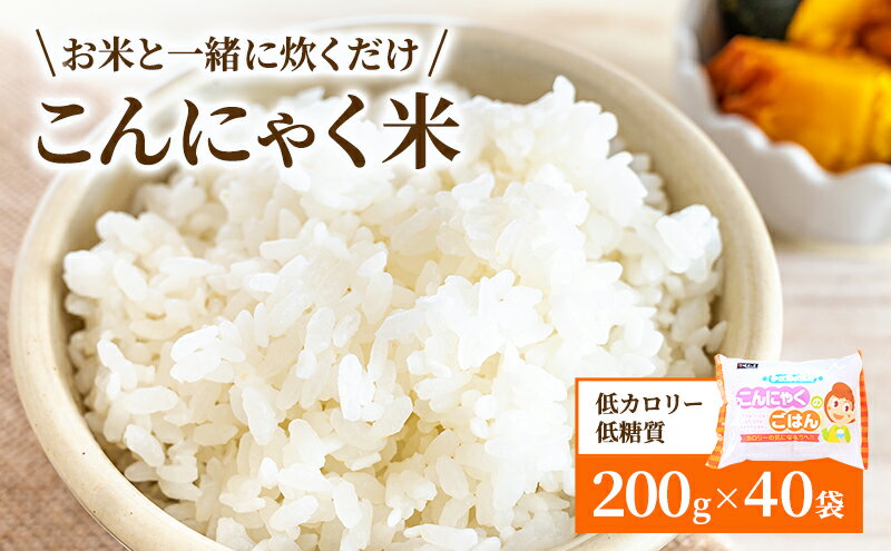 【ふるさと納税】こんにゃく米 お米と一緒に炊くだけ こんにゃく ごはん 40袋 コンニャク ダイエット 食品 加工食品 セット もどきご飯 こんにゃくご飯 糖質オフ 低糖質 低カロリー　【 岐阜県池田町 】