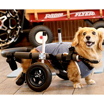 【ふるさと納税】ダックスフンド用二輪車椅子（体重15キロ以下