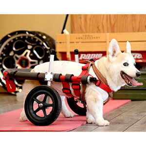 【ふるさと納税】中型犬用二輪車椅子（背丈33〜65cm　体重22キロ以下） 【!寄附前に事業者へ相談...