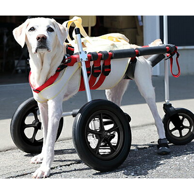 大型犬用三輪車椅子(背丈50〜75cm 体重40キロ以下) [!寄附前に事業者へ相談必要!] [雑貨 日用品]
