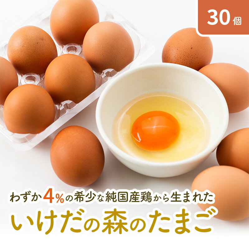 卵 わずか4%の希少な純国産鶏 いけだの森たまご 30個 こだわり おこめのたまご 玉子 鶏卵 生卵 産地直送 冷蔵配送 TKG 卵かけご飯 岐阜県産　