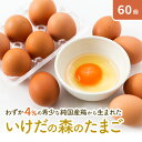 14位! 口コミ数「0件」評価「0」卵 わずか4%の希少な純国産鶏 いけだの森たまご 60個 こだわり おこめのたまご 玉子 鶏卵 生卵 産地直送 冷蔵配送 TKG 卵かけご飯･･･ 