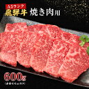 牛肉 飛騨牛 焼き肉 セット 赤身 モモ 又は カタ 600g 黒毛和牛 A5 美味しい お肉 牛 肉 和牛 焼肉 BBQ バーベキュー 　