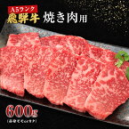 【ふるさと納税】牛肉 飛騨牛 焼き肉 セット 赤身 モモ 又は カタ 600g 黒毛和牛 A5 美味しい お肉 牛 肉 和牛 焼肉 BBQ バーベキュー 【岐阜県池田町】　【 岐阜県池田町 】