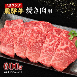 【ふるさと納税】牛肉 飛騨牛 焼き肉 セット 赤身 モモ 又は カタ 600g 黒毛和牛 A5 美味...