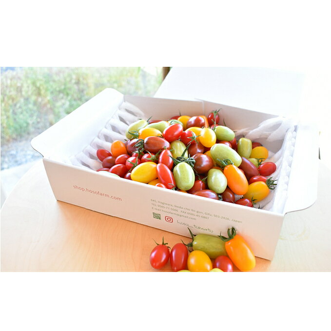 見て楽しい、食べて美味しい。☆トマトの宝石箱☆ジュエルスピカ(1.3kg) [野菜 トマト とまと] お届け:2024年6月30日まで