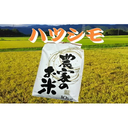 池田町農家　令和5年産特別栽培米ハツシモ　10kg　白米　【お米】　お届け：2023年10月中旬～2024年7月末