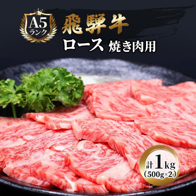 ふるさと納税　飛騨牛 牛肉 焼肉 ロース 500g×2 計1kg A5 和牛　【池田町】　お届け：※12/13～1/10は出荷できませんのご注意ください。