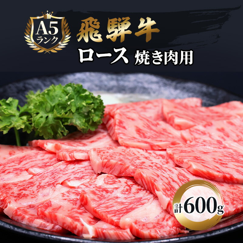 ふるさと納税 飛騨牛 牛肉 焼肉 ロース 600g A5 和牛 [池田町] お届け:※12/13〜1/10は出荷できませんのご注意ください。