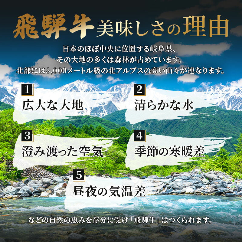 【ふるさと納税】ふるさと納税　飛騨牛 牛肉 焼肉 肩肉 (ウデ) 500g×2 計1kg A5 和牛 　お届け：※12月16日～1月10日は出荷出来ませんのでご注意下さい。 f214043-ikeda-10000704 岐阜県池田町 サンプル画像3
