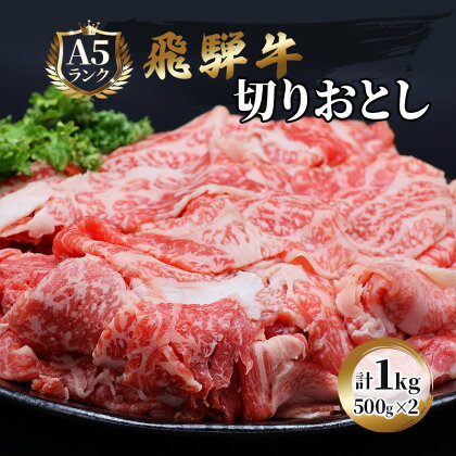 飛騨牛 牛肉 切り落とし 500g×2 計1kg A5 和牛　【 焼肉 もも肉 モモ バラ カルビ 牛 肉 お肉 ブランド和牛 】　お届け：※12月16日～1月10日は出荷出来ませんのでご注意下さい。