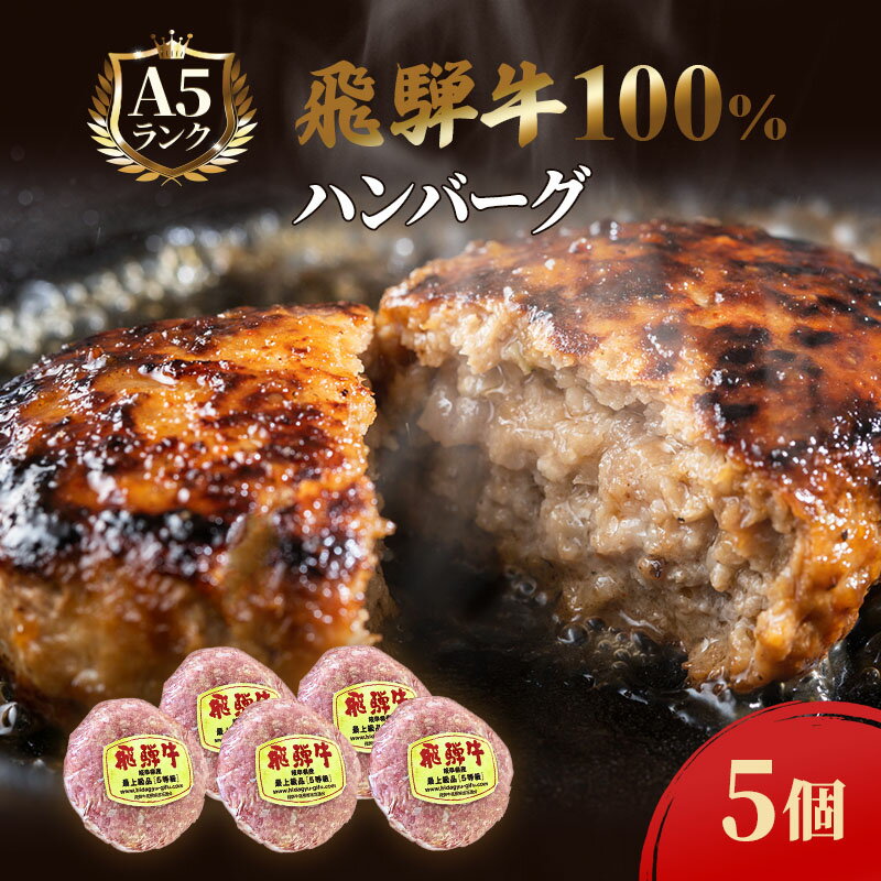 2位! 口コミ数「0件」評価「0」ふるさと納税　飛騨牛 ハンバーグ ロースバーグ 150g×5枚 計750g 和牛　【池田町】　お届け：※12月16日～1月10日は出荷出来ま･･･ 