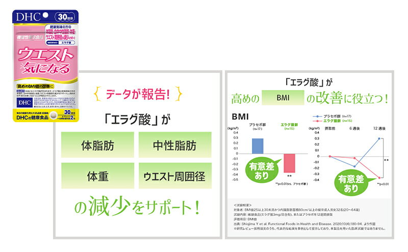 【ふるさと納税】サプリ DHC ウエスト気になる 30日分 2個 セット