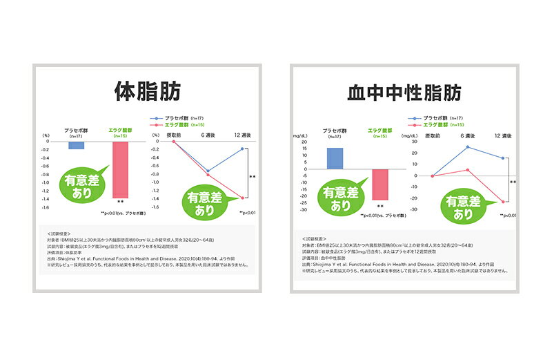 【ふるさと納税】サプリ DHC ウエスト気になる 30日分 2個 セット