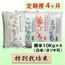 【ふるさと納税】特別栽培米★[定期便] 4カ月★毎月 精米10kg（白米/7分/5分ツキ可）【ミルキークイーン・コシヒカリ・夢ごこち・ハツシモ】　玄米は別に出品　【定期便・ お米 セット 糖質 美味しい 艶 】　お届け：2023年10月上旬〜･･･