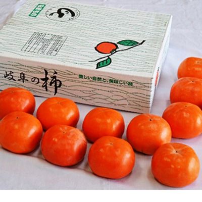 贈答富有柿 L 14玉 果物類 ぎふクリーン農業 安全 安心 美味しい 王様 お届け：2023年11月中旬～11月下旬