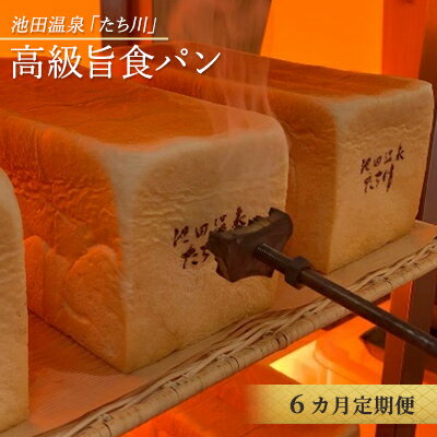 【ふるさと納税】【6ヶ月定期便】池田温泉『たち川』の旨食パン食べつくしセット：2斤×1本.1斤×1本.小倉あん　【定期便・ 朝食 ブレッド 高級食パン 天然水 厳選 小麦粉 こだわり 柔らかい 耳までおいしい パン食 小麦製品 】のサムネイル