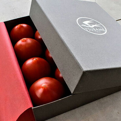 【ふるさと納税】TSUBAME（つばめ）　【野菜・トマト】　お届け：2023年4月中旬〜2023年5月中旬