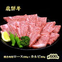 【ふるさと納税】ふるさと納税 飛騨牛 ロース&カルビ 焼肉 セット 計600g A5 和牛 牛肉 お肉 ロース カルビ 食べ比べ 焼肉用 バーベキュー BBQ