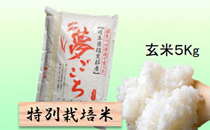 【ふるさと納税】特別栽培米★玄米5kg 【夢ごこち】 お米 ブランド米 銘柄米 ご飯 おにぎり モッチリ 甘い 低アミロース米 冷めても美味しい 　お届け：2025年10月上旬～2026年9月下旬